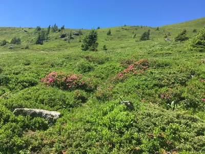 Naturlandschaft in der Nähe der Ferienwohnung