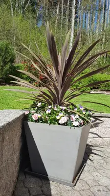 Ein Garten an der Unterkunft Ferienhaus Saxenauer