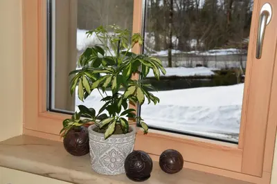 Ferienhaus Saxenauer im Winter