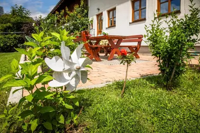 Ein Garten an der Unterkunft Brandstättergut