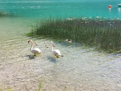 Naturlandschaft in der Nähe der Ferienwohnung