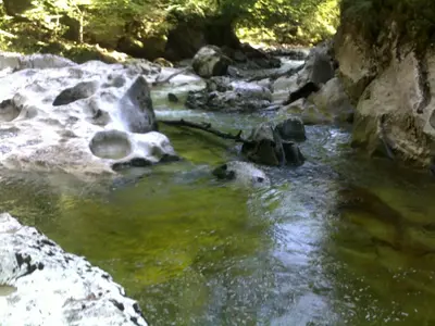 Naturlandschaft in der Nähe der Ferienwohnung