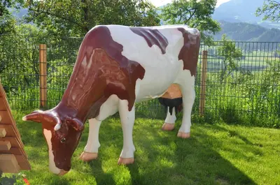 Tiere in der Ferienwohnung oder in der Nähe
