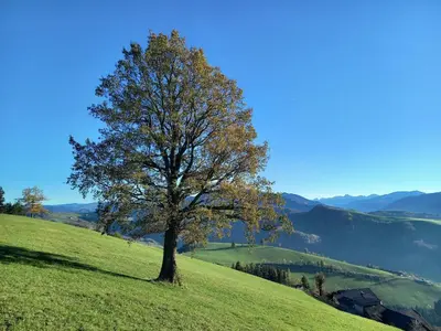 Naturlandschaft in der Nähe des Bauernhofs