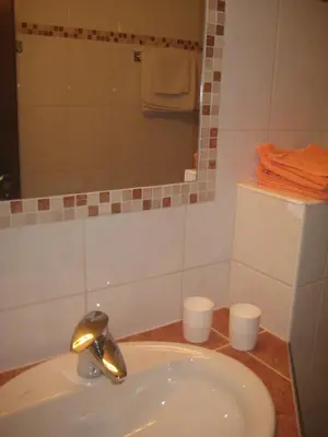 Ein Badezimmer in der Unterkunft Feichtlehnerhof