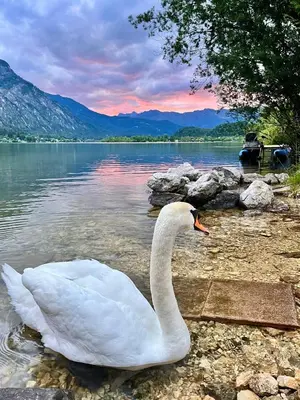 Naturlandschaft in der Nähe der Pension