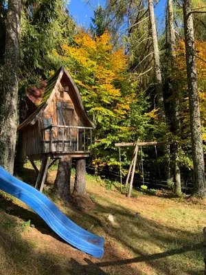 Abendunterhaltung für Gäste, die in der Unterkunft Kreitalm - Kraftplatz im Salzkammergut übernachten