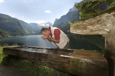 Naturlandschaft in der Nähe der Pension