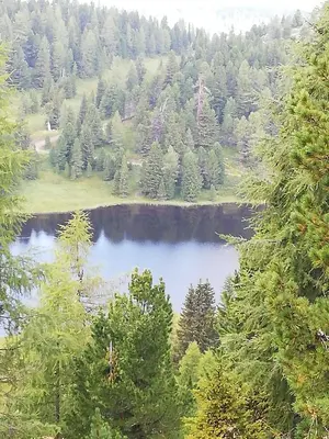 Naturlandschaft in der Nähe der Ferienwohnung