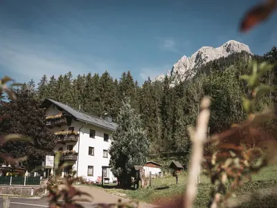 Naturlandschaft in der Nähe der Pension