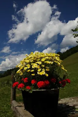 Ein Garten an der Unterkunft Hüttenferien Köberlhof