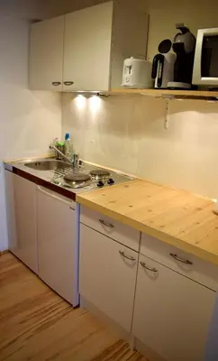Küche/Küchenzeile in der Unterkunft Gosau Apartment 209