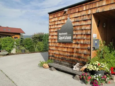 Ein Garten an der Unterkunft Appartement Gipfelsturm