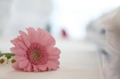 Ein Bett oder Betten in einem Zimmer der Unterkunft Appartments am Esslgut