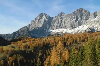 Naturlandschaft in der Nähe der Ferienwohnung