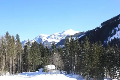 Naturlandschaft in der Nähe des Chalets
