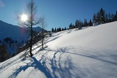 Naturlandschaft in der Nähe der Ferienwohnung