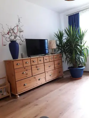 TV/Unterhaltungsangebot in der Unterkunft Apartment Sandra