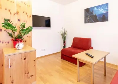 TV/Unterhaltungsangebot in der Unterkunft Landhaus Birgit