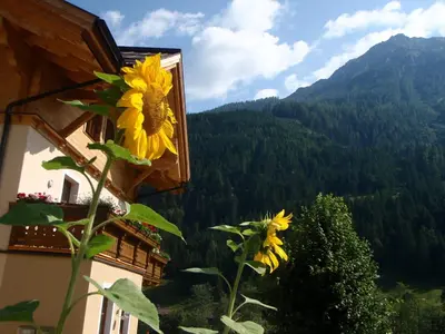 Ein allgemeiner Bergblick oder ein Berglick von der Ferienwohnung aus