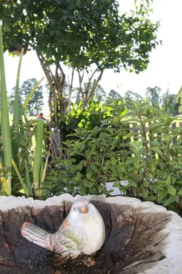 Ein Garten an der Unterkunft Haus Friedeck