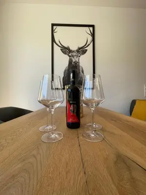 Getränke in der Unterkunft Appartement Schladming Neu