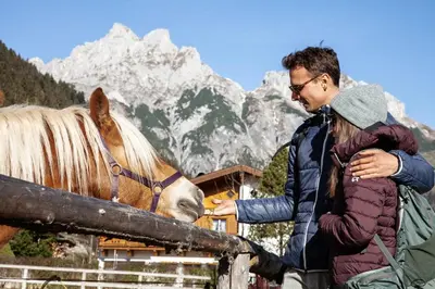 Tiere in der Pension oder in der Nähe