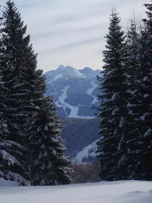 Naturlandschaft in der Nähe des Gasthauses