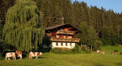 Tiere in diesem Bauernhof oder in der Nähe