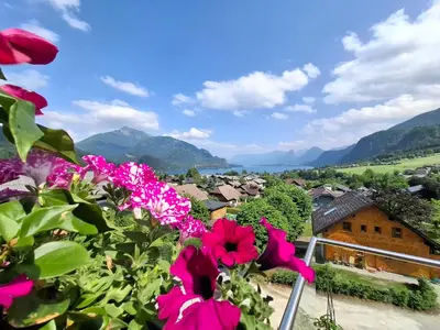 Naturlandschaft in der Nähe der Ferienwohnung