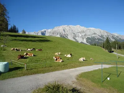 Naturlandschaft in der Nähe der Pension