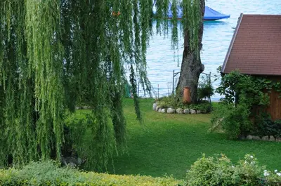 Naturlandschaft in der Nähe des Hotels