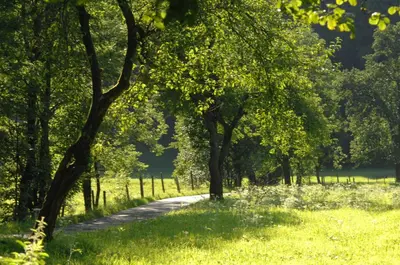 Naturlandschaft in der Nähe des Bed & Breakfasts