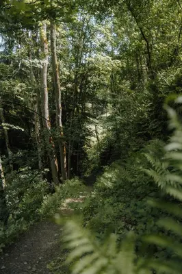 Naturlandschaft in der Nähe der Pension