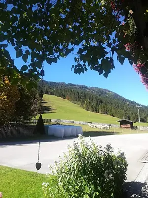 Naturlandschaft in der Nähe des Hotels
