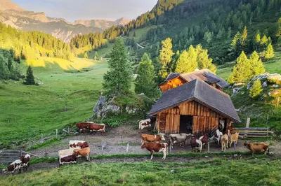 Naturlandschaft in der Nähe des Bauernhofs