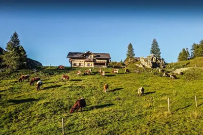 Naturlandschaft in der Nähe des Bauernhofs
