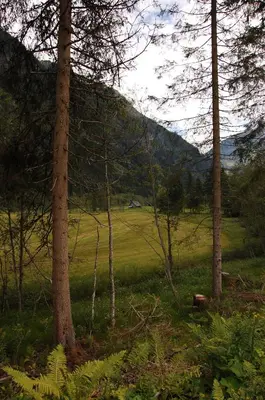 Naturlandschaft in der Nähe der Pension