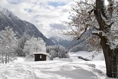 Tetter im Winter