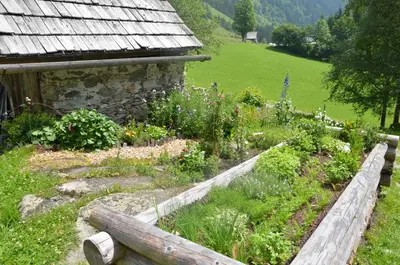 Ein Garten an der Unterkunft Tetter