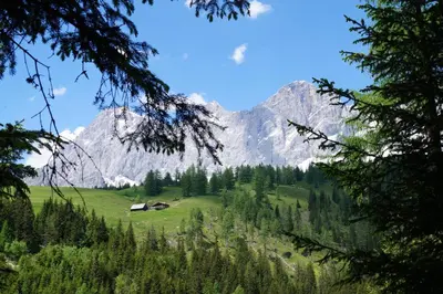 Naturlandschaft in der Nähe der Ferienwohnung