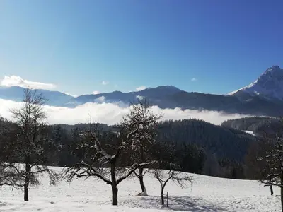 Naturlandschaft in der Nähe des Bauernhofs