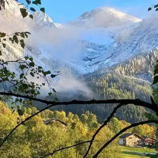 Naturlandschaft in der Nähe der Ferienwohnung