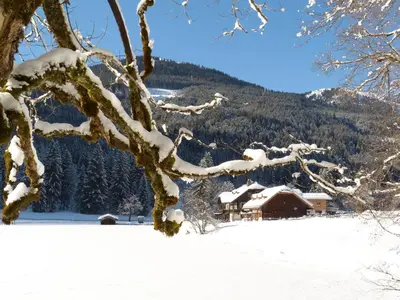 Naturlandschaft in der Nähe der Ferienwohnung