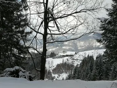 Naturlandschaft in der Nähe des Bauernhofs