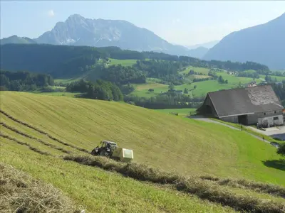 Naturlandschaft in der Nähe des Bauernhofs