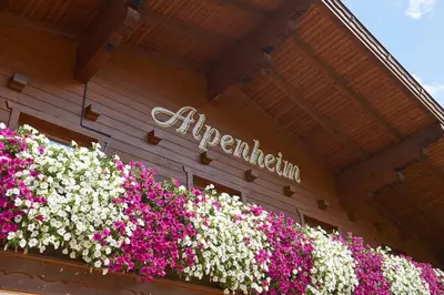 Grundriss der Unterkunft Haus Alpenheim