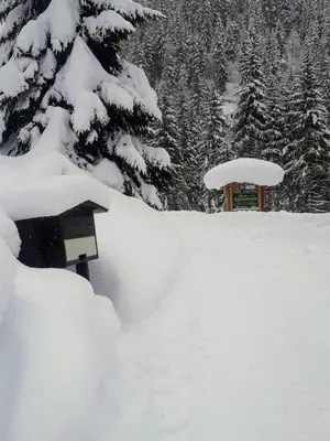 Haus Alpenheim im Winter