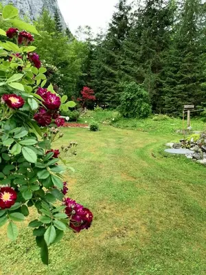 Ein Garten an der Unterkunft Haus Waldbach