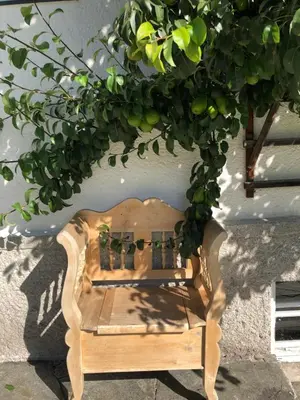 Grundriss der Unterkunft Ferienhaus Alpennest